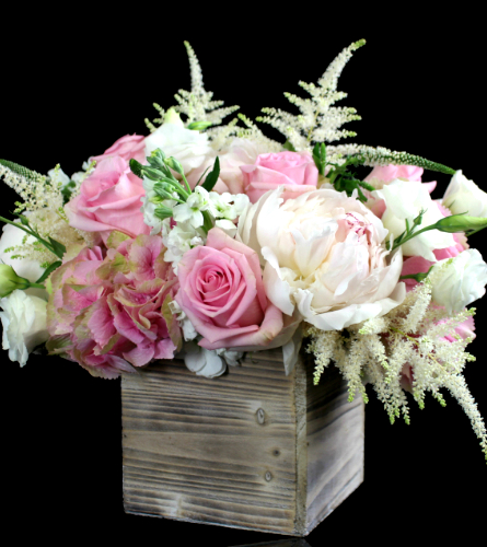 Seasonal Flowers | Just Because Flowers | Boston Florist | Stapleton ...