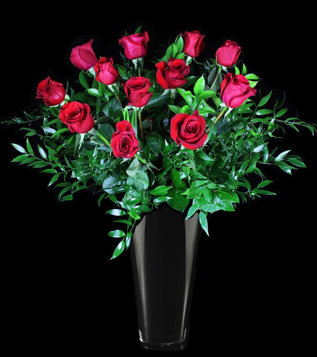 luxurious long stem red roses