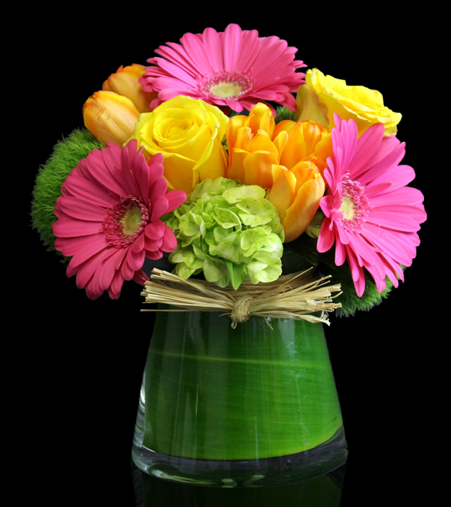 shop seasonal flowers with daisies, roses, and tulips